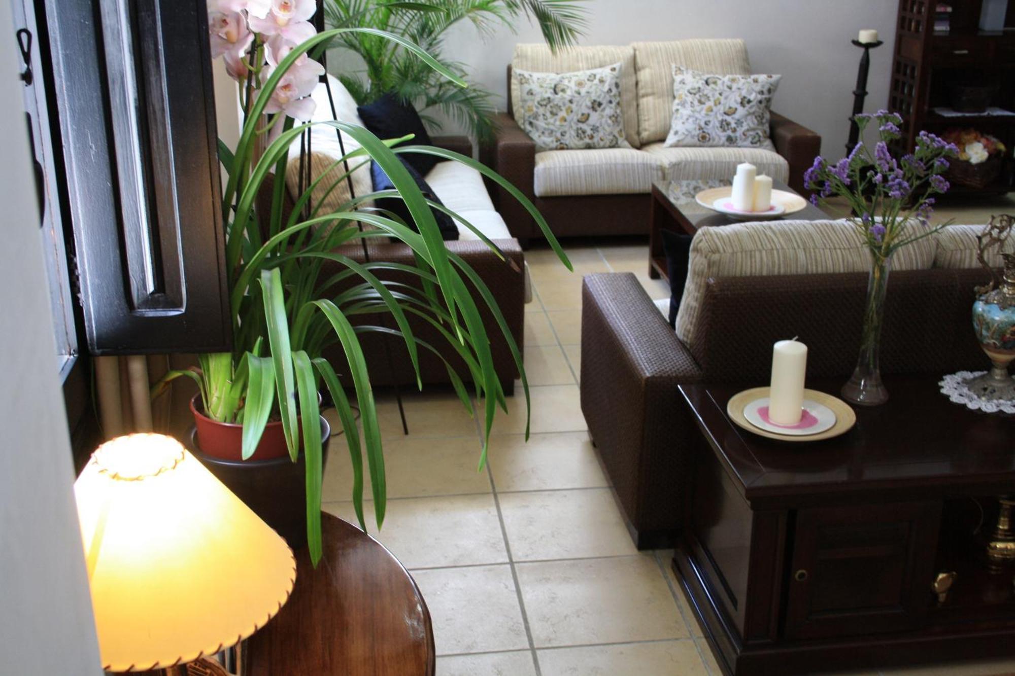 Santuario San Jose (Adults Only) Hotel Luaran gambar